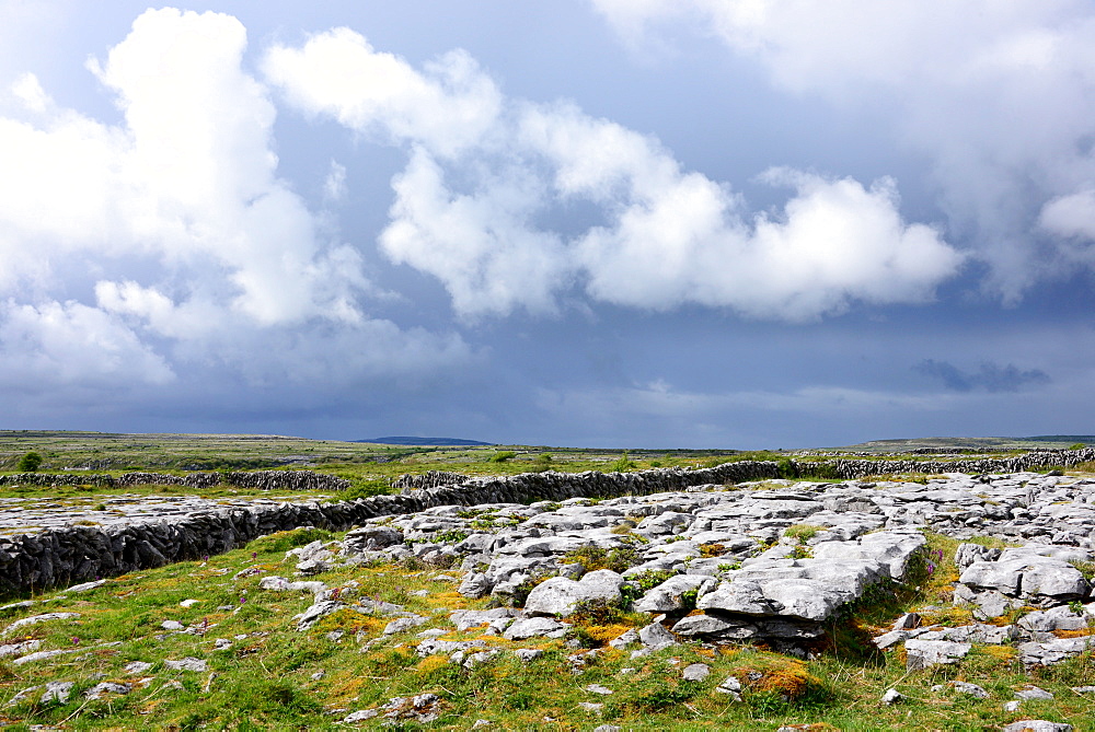 In the Burren, Clare, West coast, Ireland