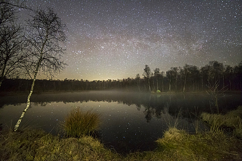 Katenhofer moor, Daenischer Wohld, Rendsburg-Eckernfoerde, Schleswig-Holstein, Germany