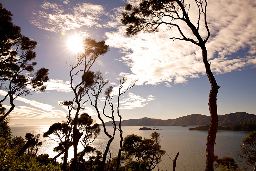 View from the top of Motuara Island to Long Island, Motuara Island, Outer Queen Charlotte Sound, Marlborough, South Island, New 