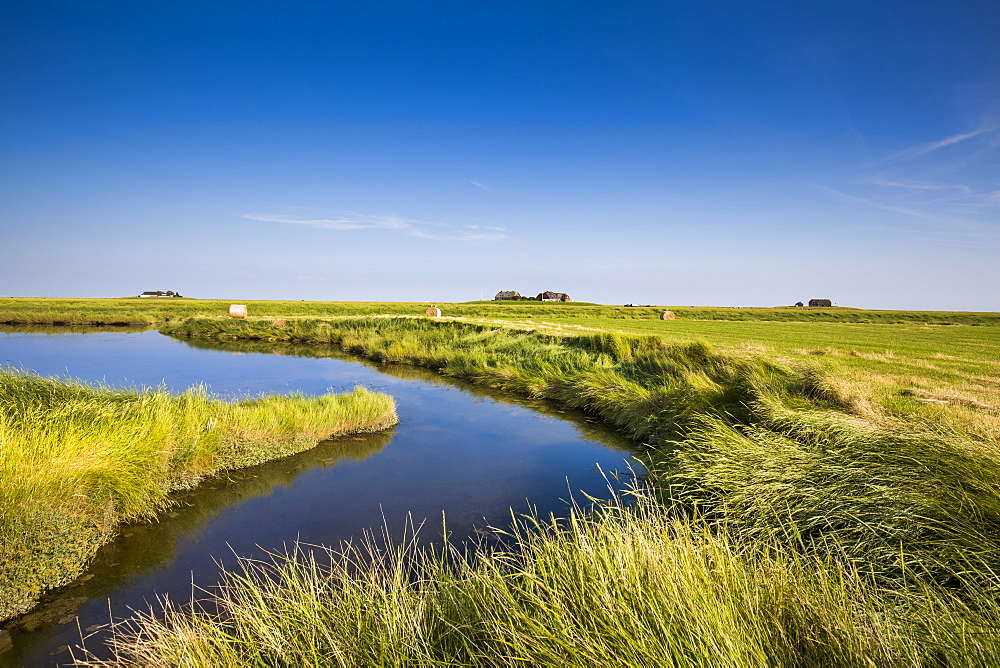 Salt marsh and dwelling mound, Hallig Langeness, North Frisian Islands, Schleswig-Holstein, Germany