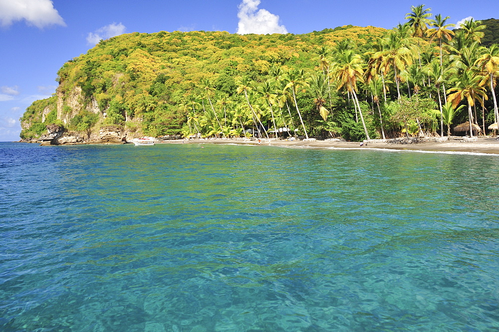 Palm trees and boats at Anse Mamin beach and cliffs, Anse Chastanet, Soufriere, sea, St. Lucia, Saint Lucia, Lesser Antilles, West Indies, Windward Islands, Antilles, Caribbean, Central America