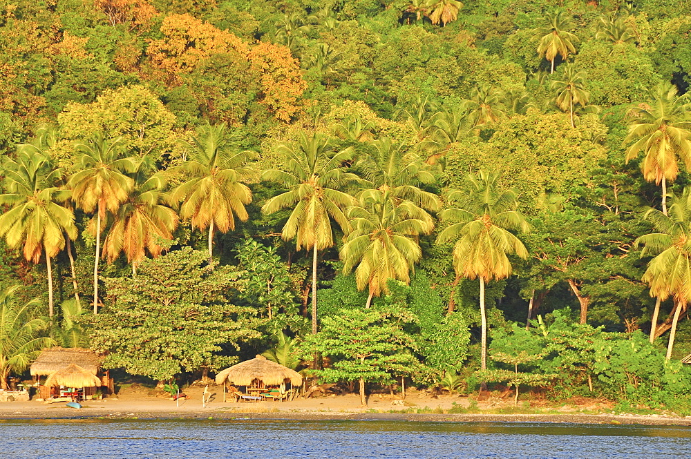 Palm trees, bar and parasols on Anse d´Ivoire beach, Soufriere, St. Lucia, Saint Lucia, Lesser Antilles, West Indies, Windward Islands, Antilles, Caribbean, Central America