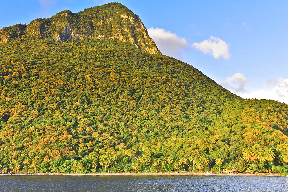 palm trees and mountains on Anse d´Ivoire beach, sea, Soufriere, St. Lucia, Saint Lucia, Lesser Antilles, West Indies, Windward Islands, Antilles, Caribbean, Central America