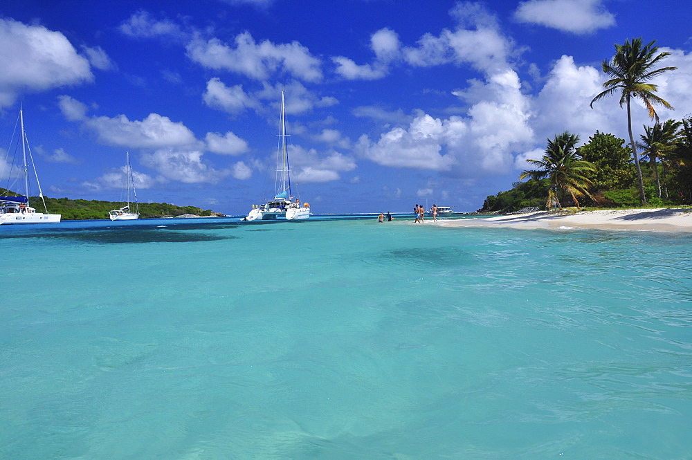 sailing ships on the sea and beach with palms, Petit Rameau, Tobago Cays, St. Vincent, Saint Vincent and the Grenadines, Lesser Antilles, West Indies, Windward Islands, Antilles, Caribbean, Central America