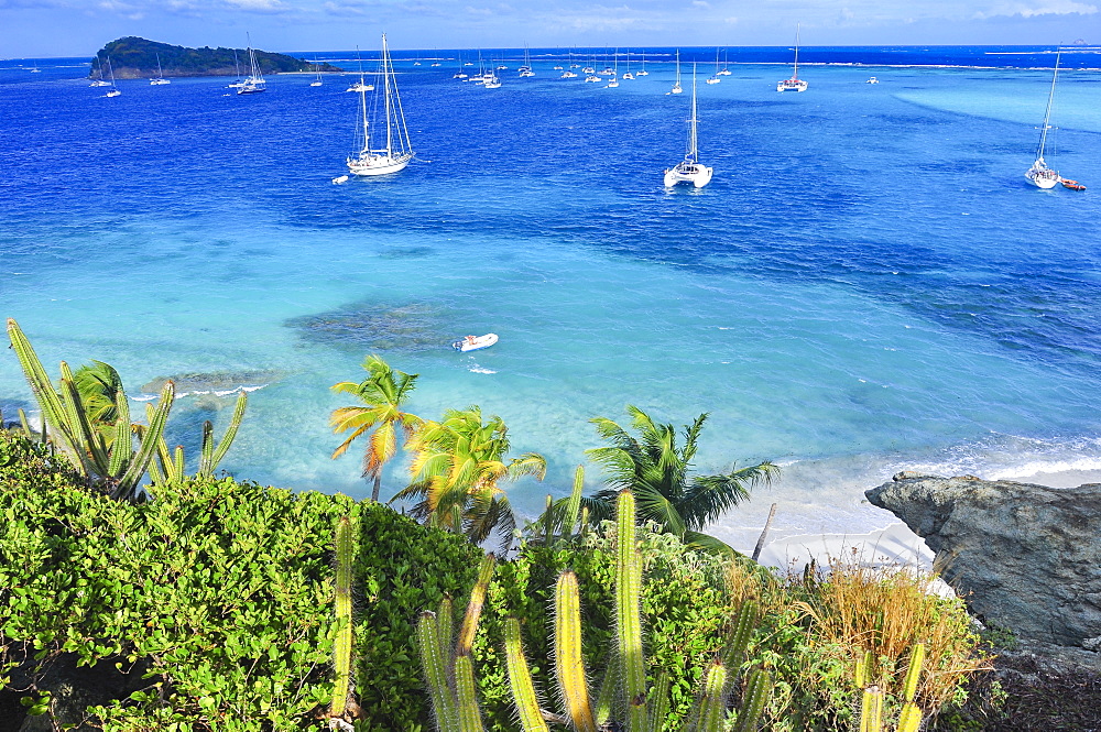 view from Jamesby island to sailing ships on the sea, beach and Baradel Island, Horseshoe Reef, Tobago Cays, St. Vincent, Saint Vincent and the Grenadines, Lesser Antilles, West Indies, Windward Islands, Antilles, Caribbean, Central America