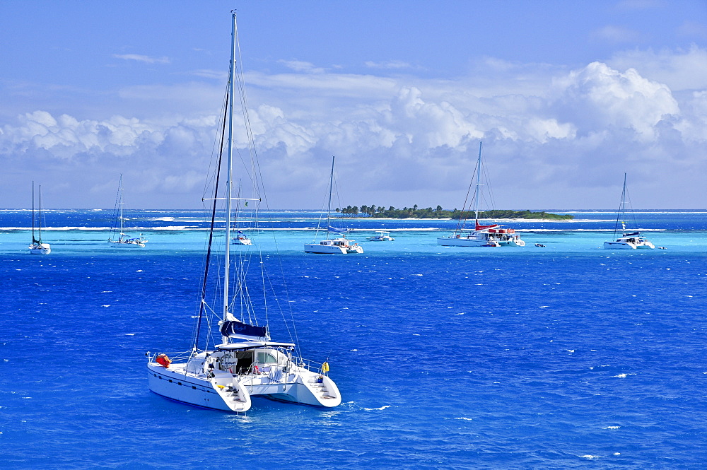 sailing ships on the sea and Baradel island, Horseshoe Reef, Tobago Cays, St. Vincent, Saint Vincent and the Grenadines, Lesser Antilles, West Indies, Windward Islands, Antilles, Caribbean, Central America