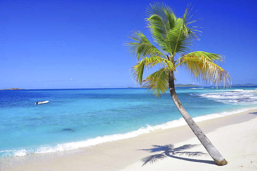 Palm tree and dinghy at a tropical beach, sea, Palm Island, St. Vincent, Saint Vincent and the Grenadines, Lesser Antilles, West Indies, Windward Islands, Antilles, Caribbean, Central America