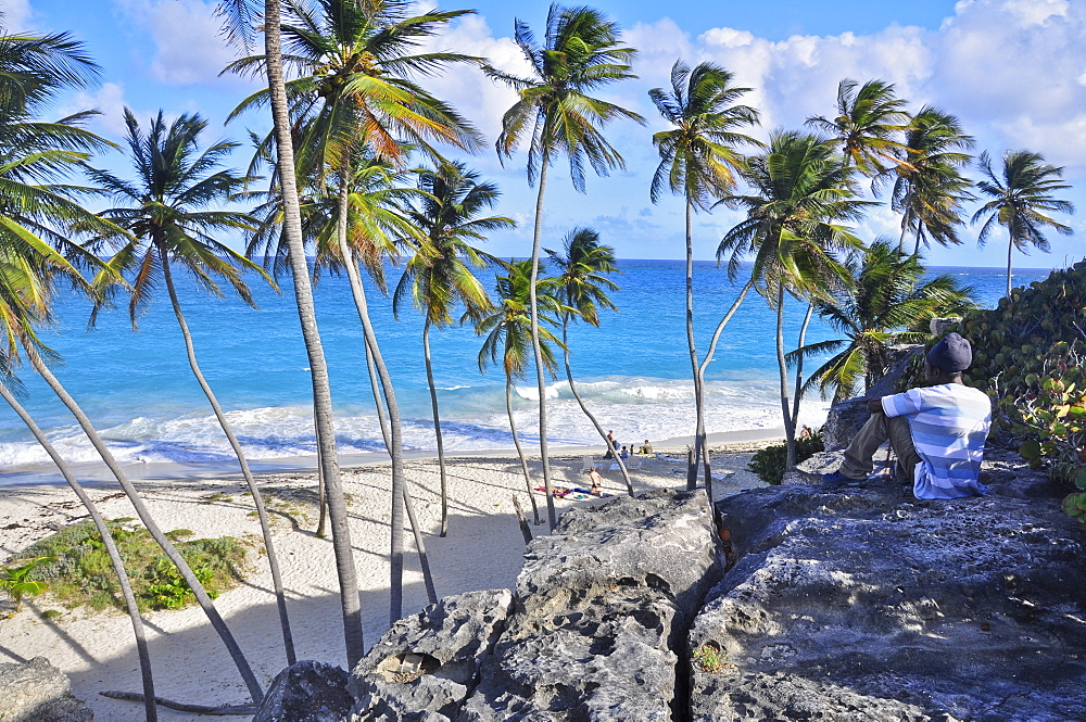 young local man sitting on a rock at a tropical beach with palm trees, sea, Bottom Bay, south coast, Barbados, Lesser Antilles, West Indies, Windward Islands, Antilles, Caribbean, Central America