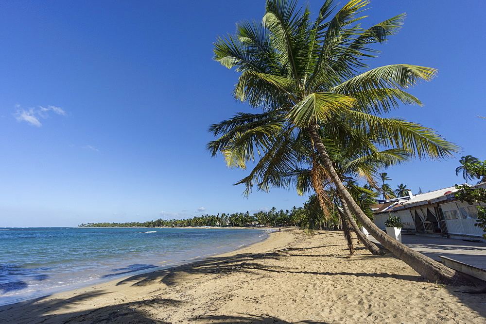 Las Terrenas Beach, Panorama, Samana, Dominican Republic, Antilles, Caribbean