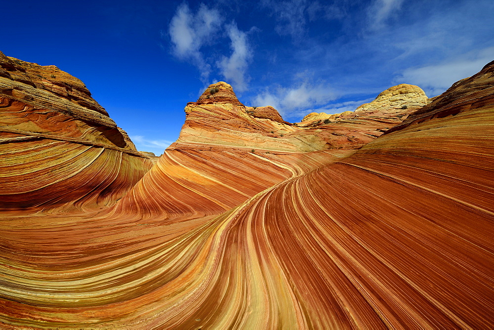 The Wave rock formation in Grand Staircase Escalante National Monument, Utah, USA, America