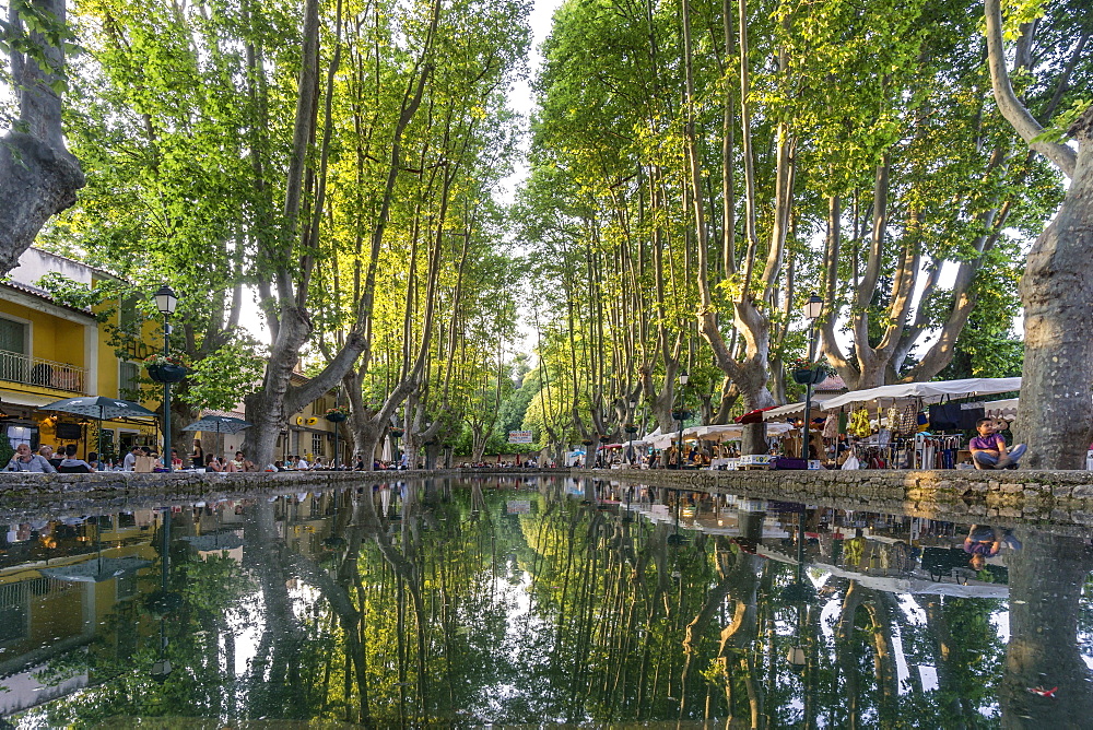 The Etang, Pond with Platane trees, Cucuron, Provencial Village, Vaucluse department, Lubern, Provence-Alpes-Cote d’Azur, France