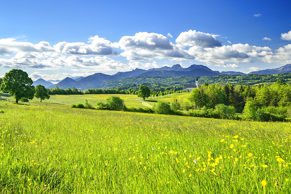 Pilgrimage Church St. Marinus und Anian with Mangfall Mountains in background, Wilparting, Irschenberg, Upper Bavaria, Bavaria, Germany