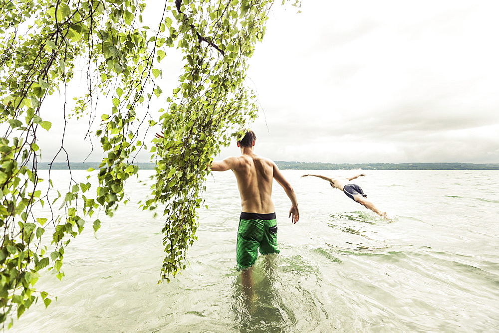 two young men going swimming in Lake Starnberg near a birch tree, Berg, Upper Bavaria, Germany