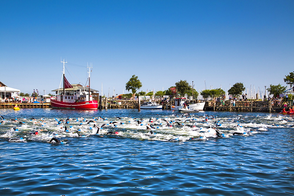 People swimming in the harbour, Triathlon, Heiligenhafen, Baltic Coast, Schleswig-Holstein, Germany