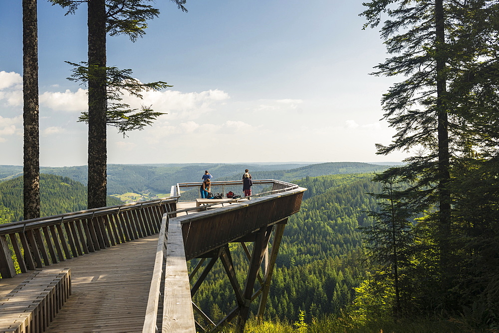 viewpoint, Buhlbachsee, near Baiersbronn, Black Forest National Park, Black Forest, Baden-Wuerttemberg, Germany