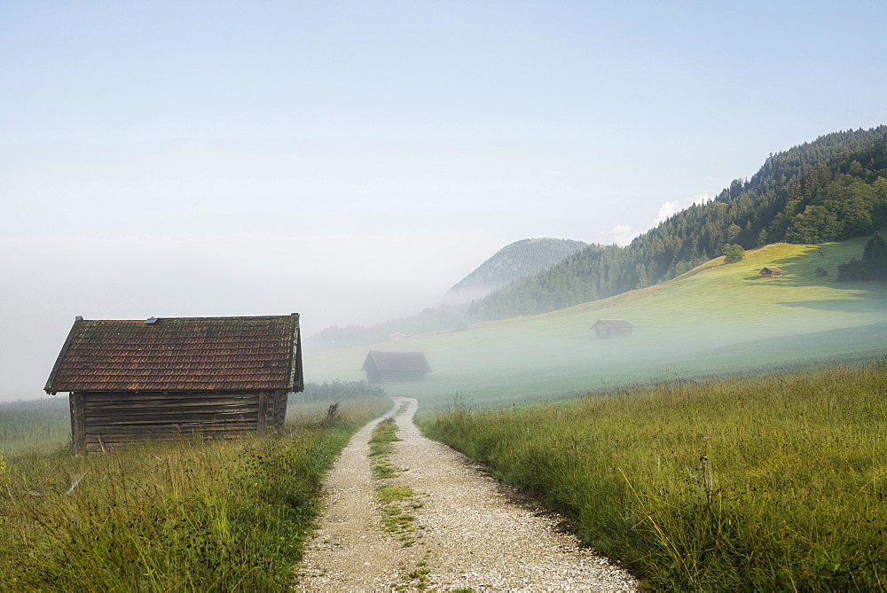 Sunrise near lake Geroldsee, Wagenbruechsee, Kruen, near Garmisch-Partenkirchen, Upper Bavaria, Bavaria, Germany