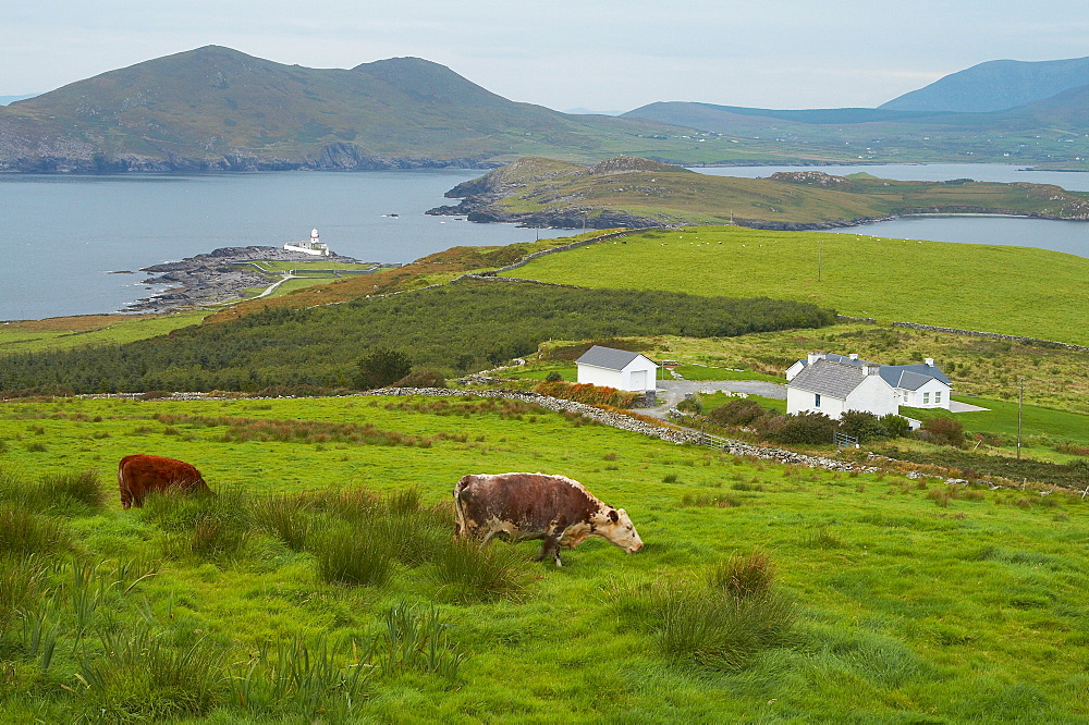 outdoor photo, lighthouse of Valentia Island, County Kerry, Ireland, Europe