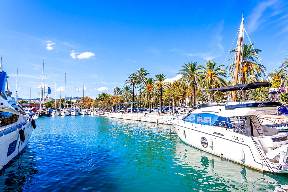 Luxury yachts at the port of Mallorca. Puerto de Palma, Port of Palma, Palma, Mallorca, Spain, Europe