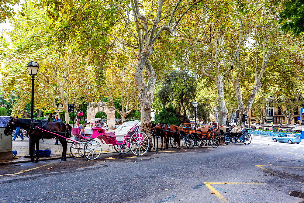 Horse carriages in the old town of Palma, historic city centre, Ciutat Antiga, Palma de Mallorca, Majorca, Balearic Islands, Mediterranean Sea, Spain, Europe