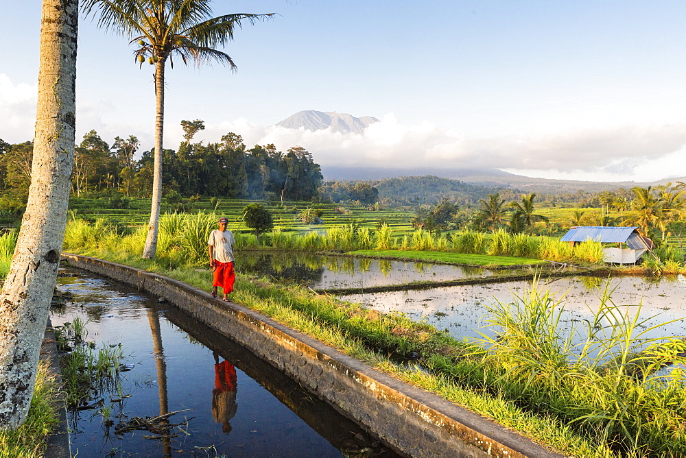 Tropical scenery with paddy fields, Gunung Agung, near Sidemen, Bali, Indonesia