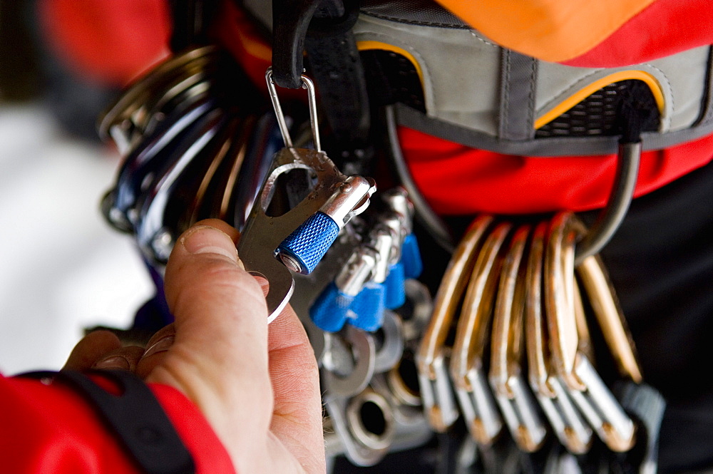 Carabiners on climbing harness, Kaldakinn, Iceland