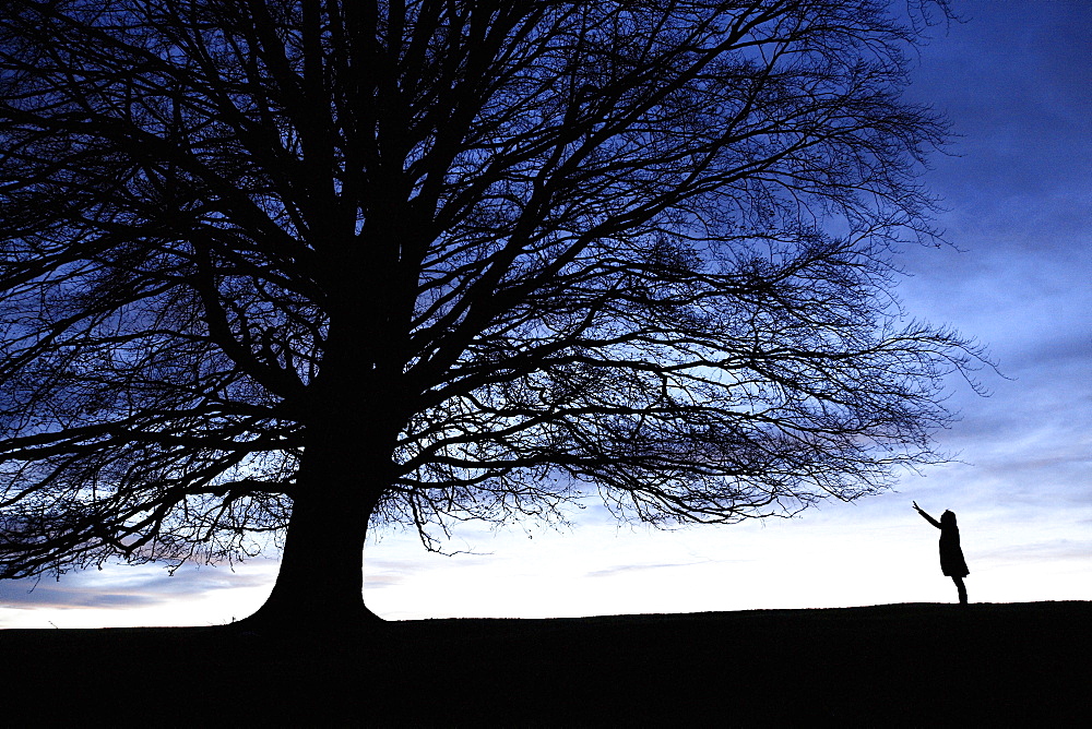 Young woman reaching for a tree, Fussen, Bavaria, Germany