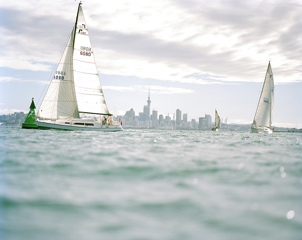 Sailing boats under clouded skin front of Waitemata Harbour, Auckland, North Island, New Zealand