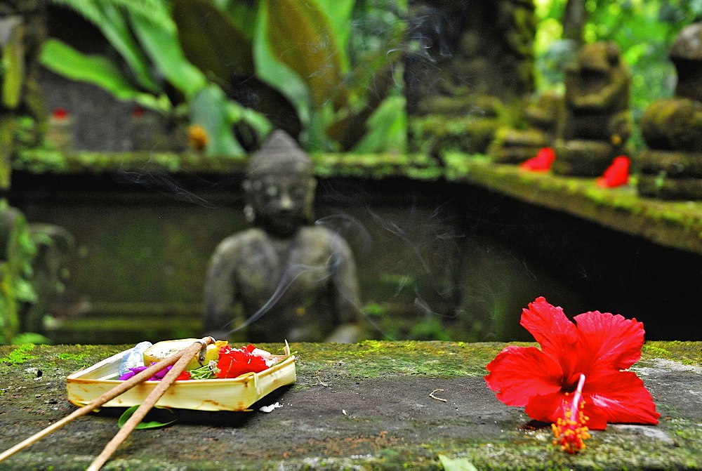 Red flower and incense sticks Ubud, Bali, Indonesia, Asia