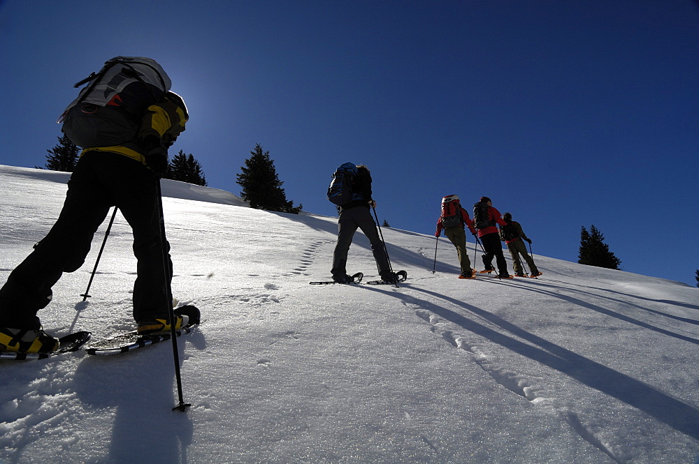 Snowshoeing on Hochgrat, Allgäu Alps, Bavaria, Germany, Europe