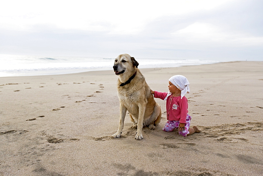 A 1 year old girl stroking a dog on the beach, Anatolien Shepherd, Punta Conejo, Baja California Sur, Mexico