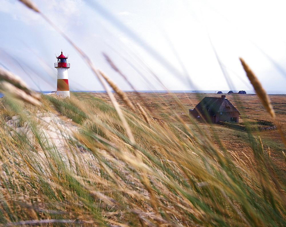 Lighthouse and barrier dunes, near List, Westerland, Sylt Island, Germany