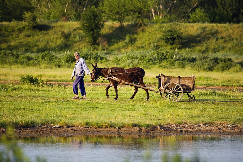 Farmer with donkey chart, Muselievo, Bulgaria, Europe