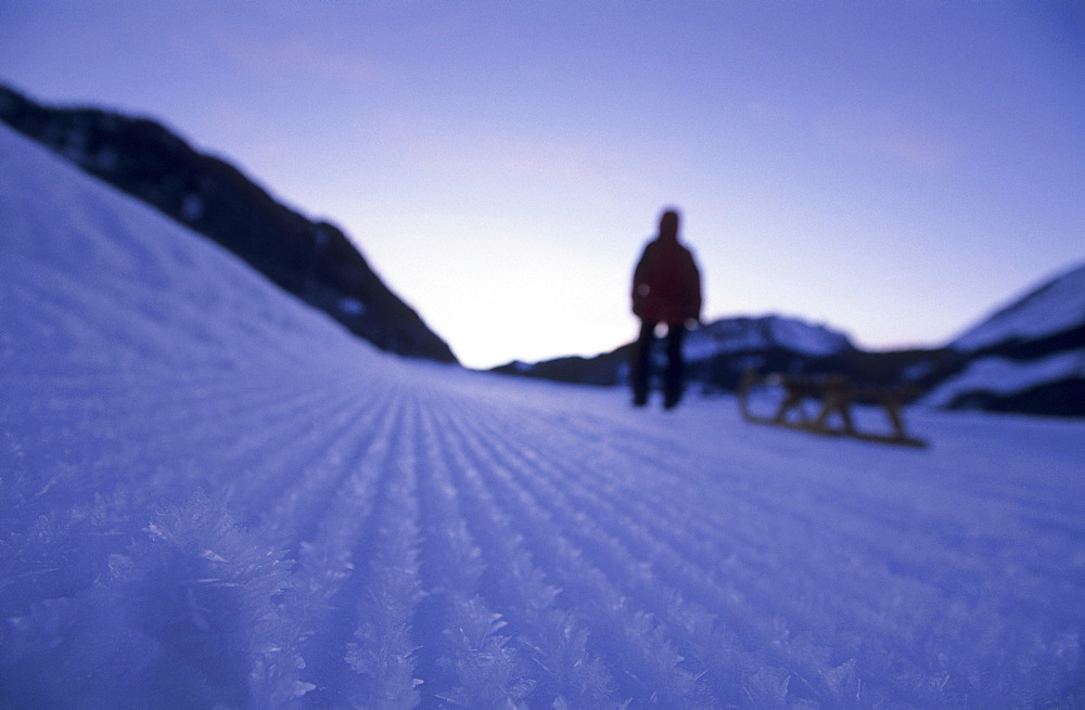 Sledging at Lisse, Au-Schoppernau, Bregenzer Wald, Vorarlberg, Austria