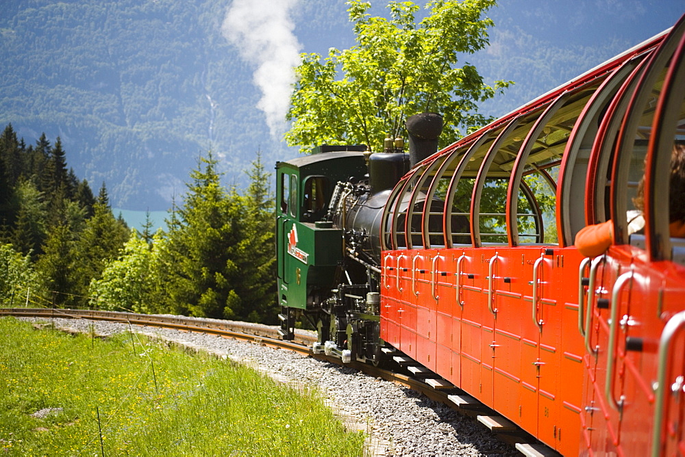 Brienz Rothorn Railway, Switzerlands oldest cogwheel railway, driving uphill, Brienz, Bernese Oberland, Canton of Bern, Switzerland