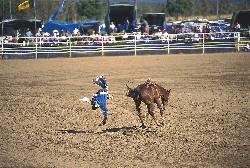 Rodeo, Mareeba, Queensland, Australia