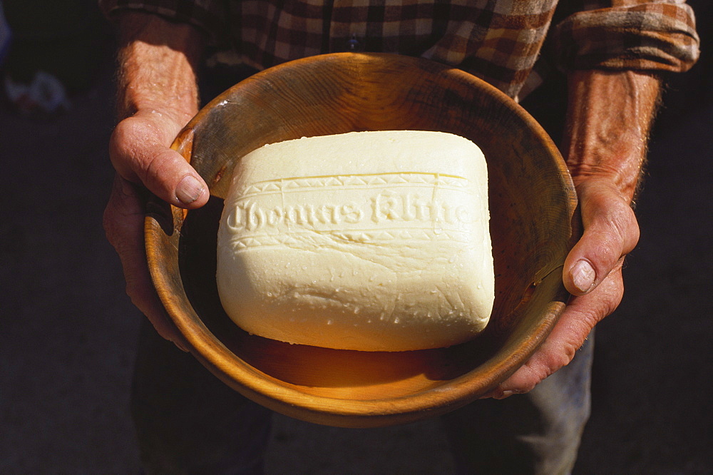 Close up of cheese at a cheese dairy in Alpbach, Dairy produce, Tirol, Austria