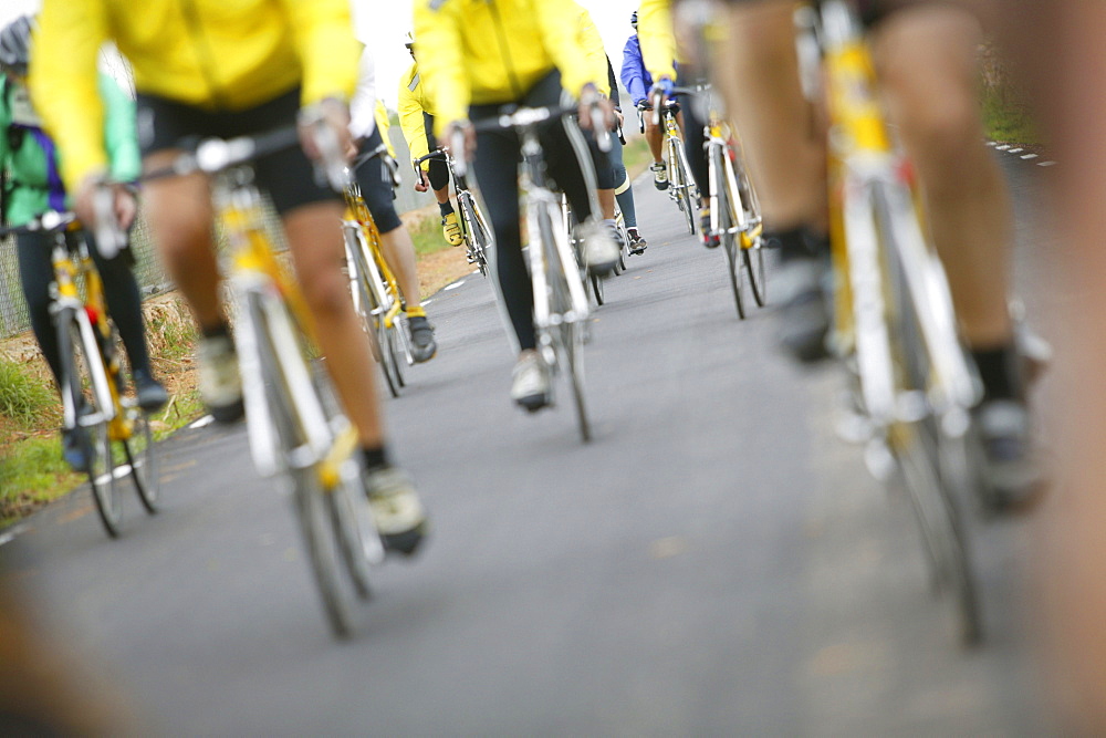 Close-up of legs, people on a cycle tour, Majorca, Balearic Islands, Spain