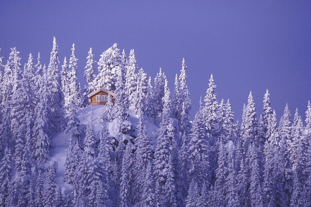 View of a winter landscape, Lillehammer, Oppland, Norway