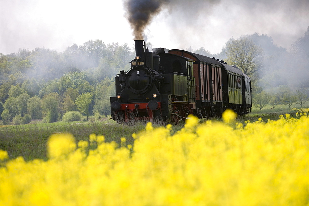 Steam Locomotive between Fladungen and Ostheim, Rhoen, Bavaria, Germany