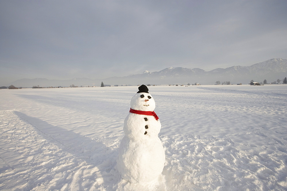 Snowman with knit hat and scarf, Bavarian Uplands