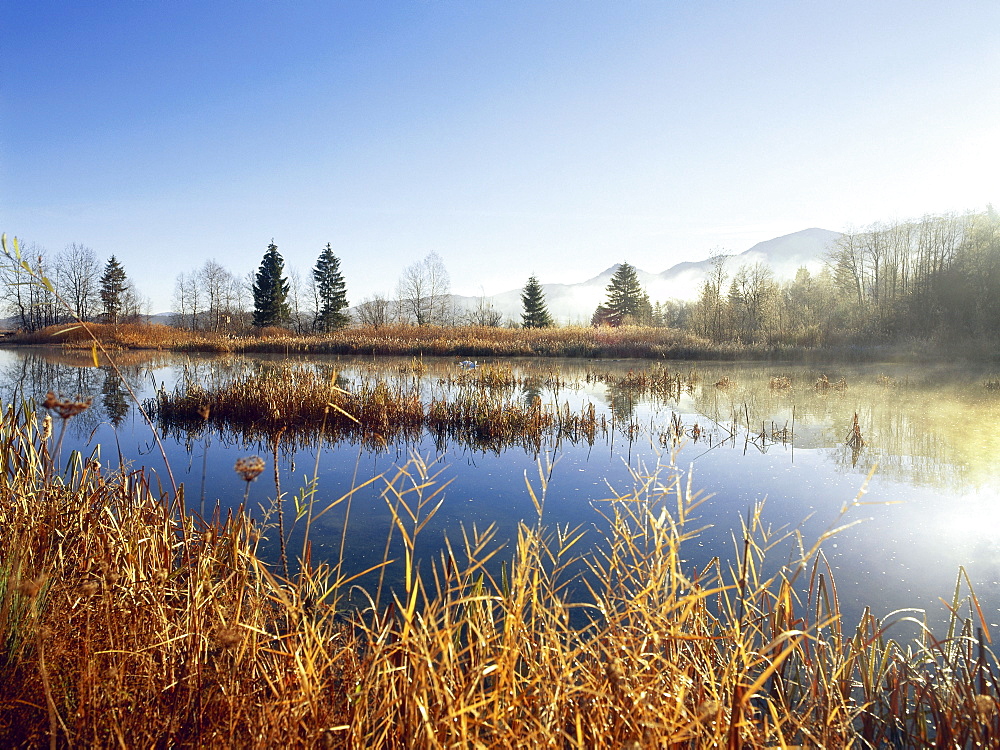 Murnauer Moos, Upper Bavaria, Germany