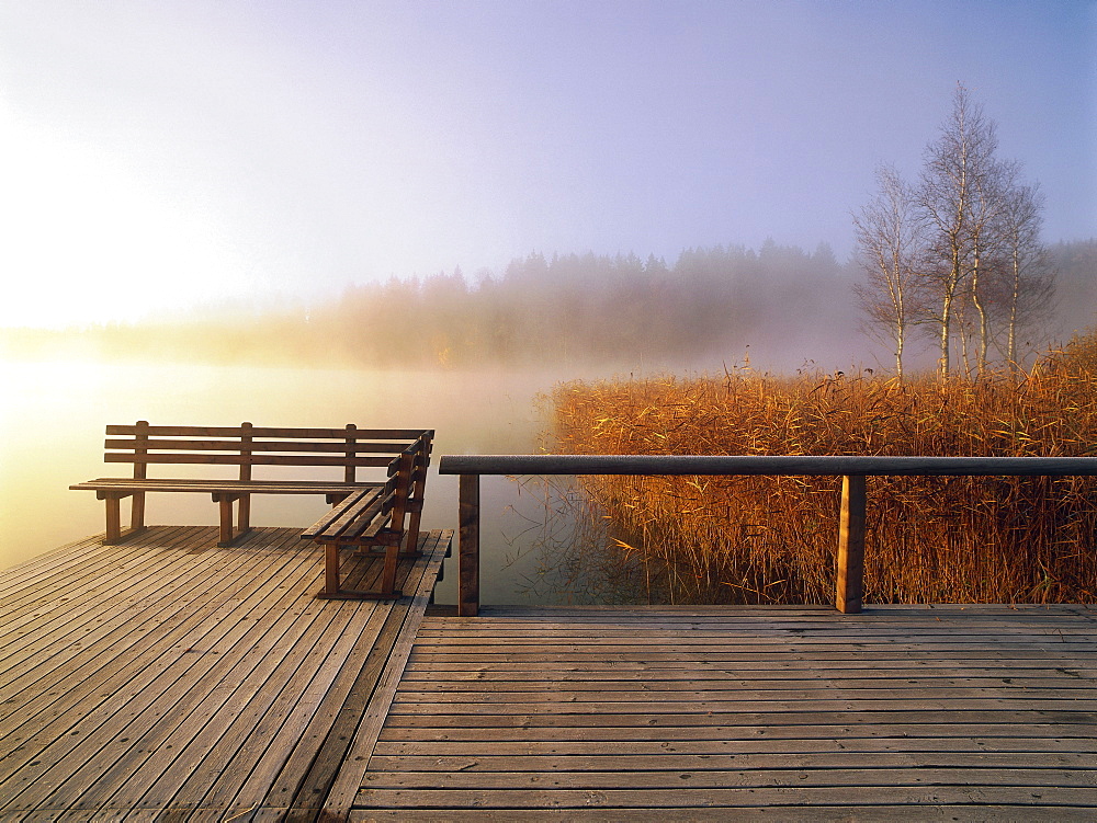 Jetty in early morning fog, Osterseen, Upper Bavaria, Germany