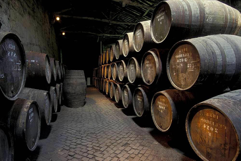 View at wooden barrels with port wine, Porto, Portugal, Europe