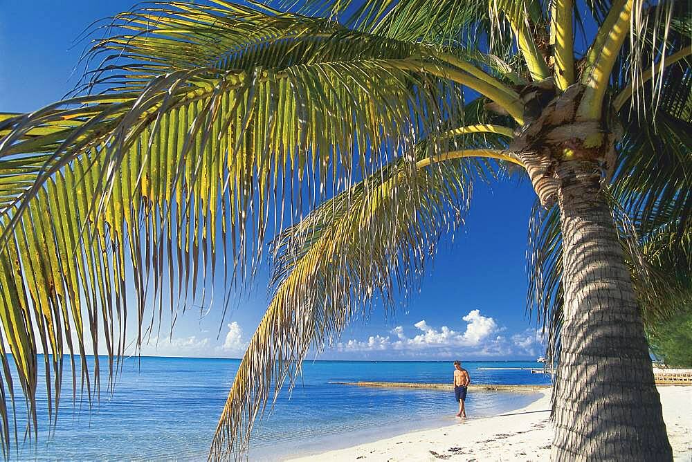 Person on the beach at Rum Point, Grand Cayman Islands, Caribbean