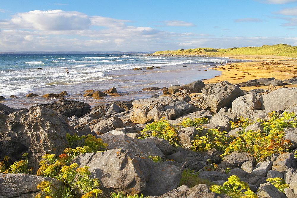 outdoor photo, The Burren, Coast of Fanore, County Clare, Ireland, Europe