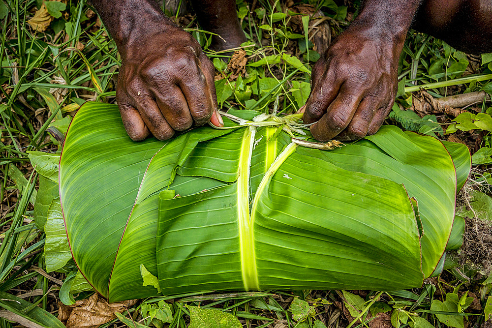 Packaging from leaves, Malekula, Vanuatu, South Pacific, Oceania