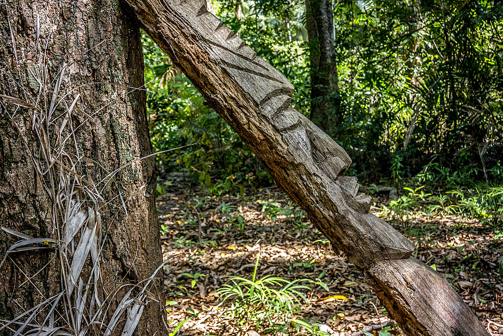 Wooden figures on a ritual place, Wala Island, Malekula, Vanuatu, South Pacific, Oceania