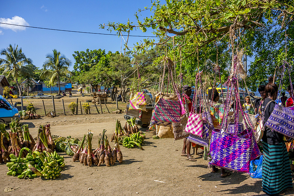 Market on Tanna, Vanuatu, South Pacific, Oceania