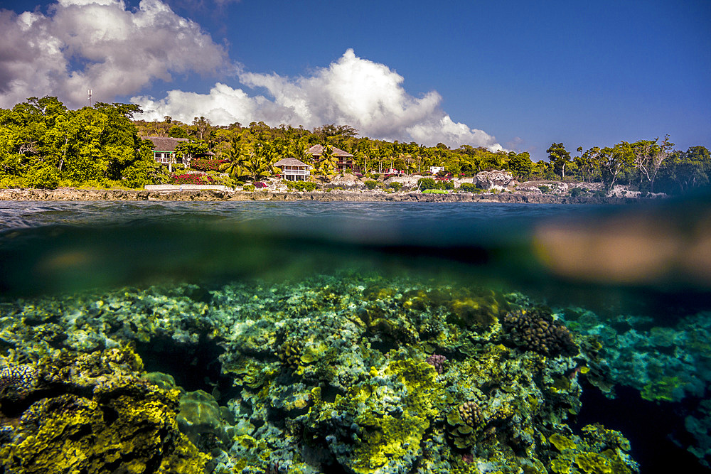 Underwater off Tanna, Vanuatu, South Pacific, Oceania