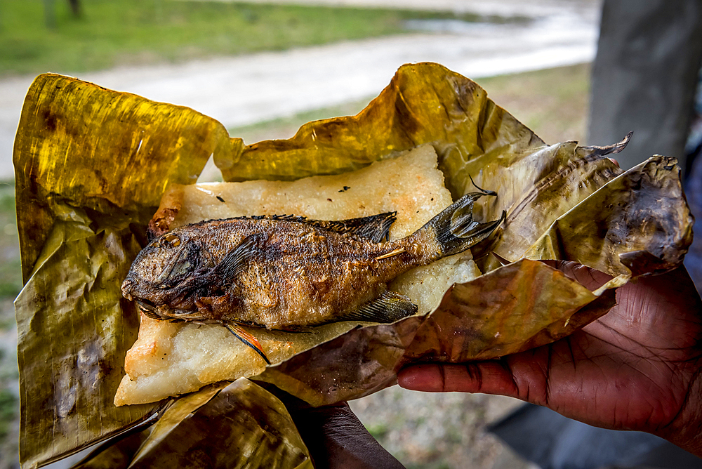 Grilled fish on Laplap, Efate, Vanuatu, South Pacific, Oceania